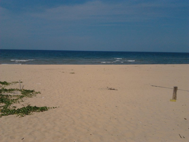 Nhat Le beach