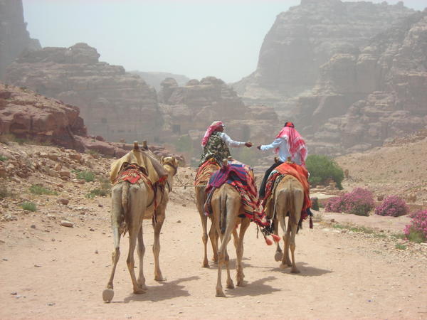 Petra, the lost city