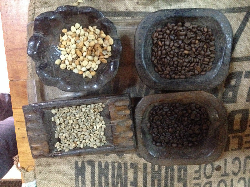 Coffee beans in different stages