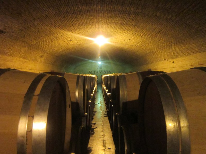 Alta Vista wine cellar