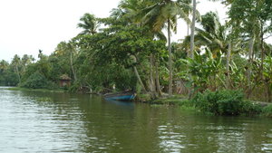 Kanalufer in den Backwaters