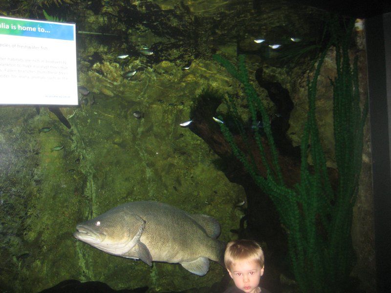 Big fish, little boy :)