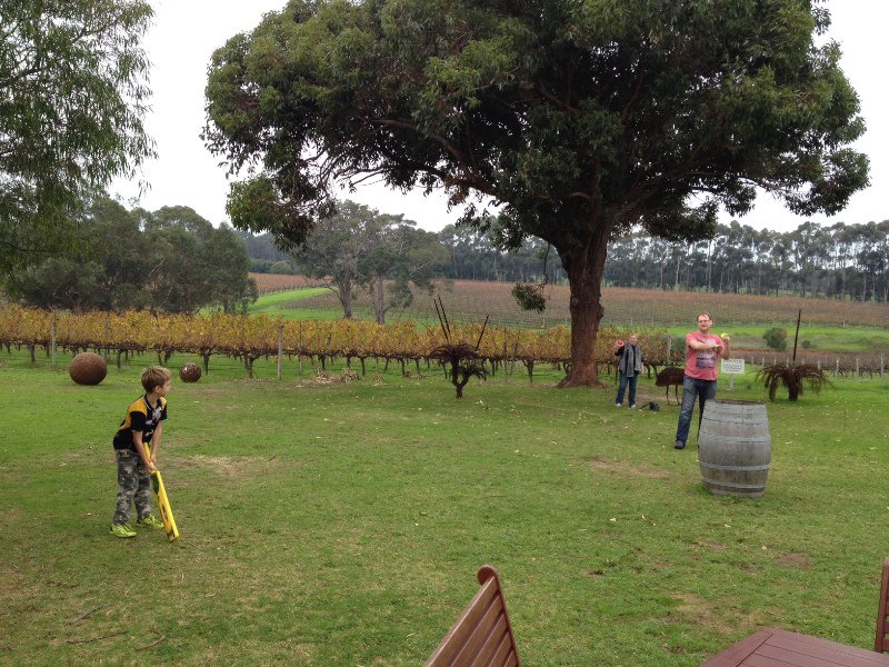 Winery and cricket... Why not!