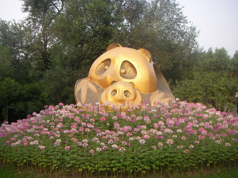 Panda Center Chengdu 2011 (7)