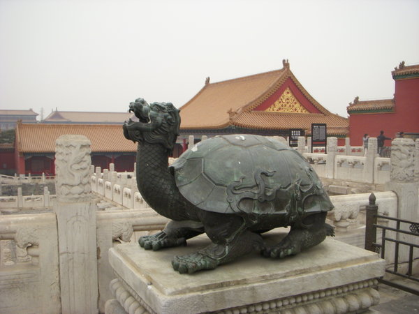 Chinese Turtle