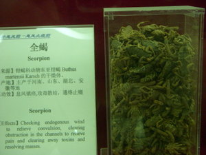 Chinese Medicine Museum