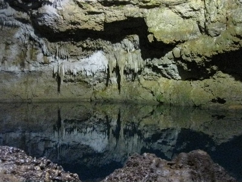 Another cenote