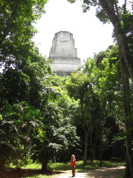 Tikal jungle