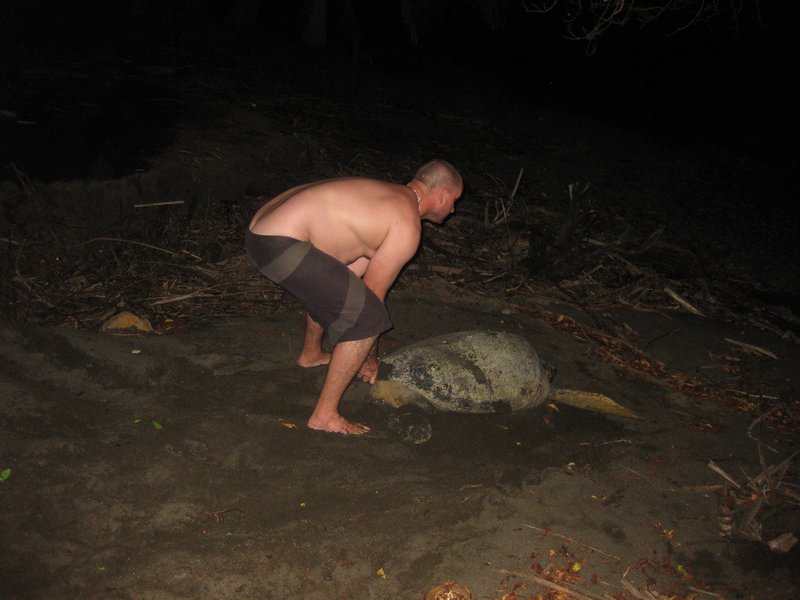 Dan helping turtle