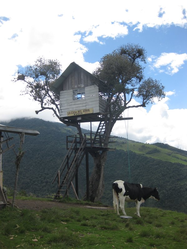The treehouse (Casa del Arbol)