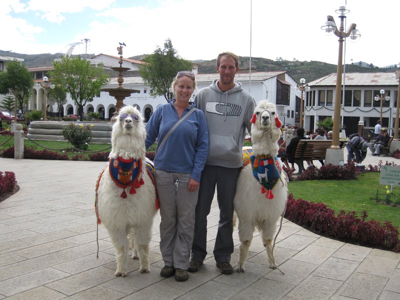 Alpaca's in Huaraz