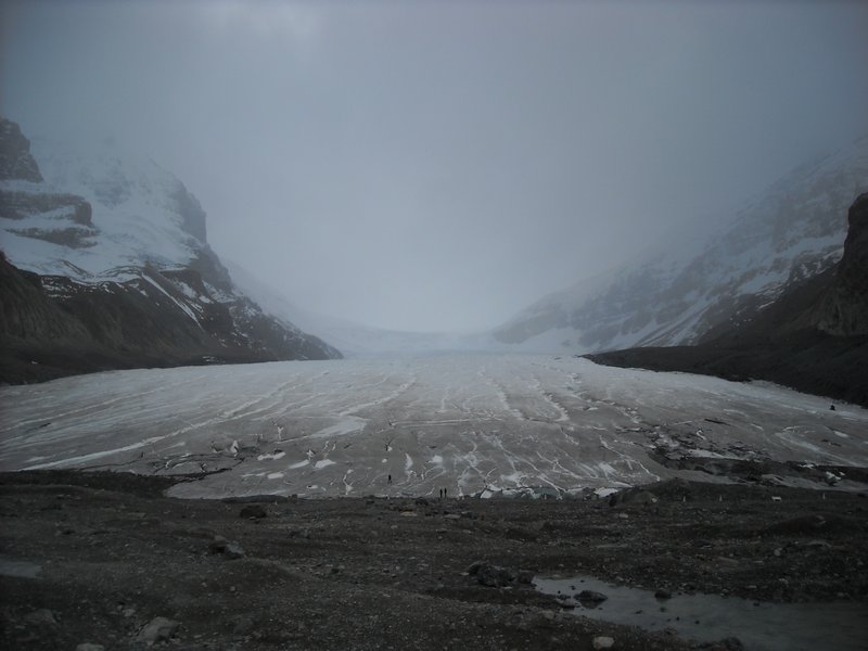 Columbia Icefield Getsjer