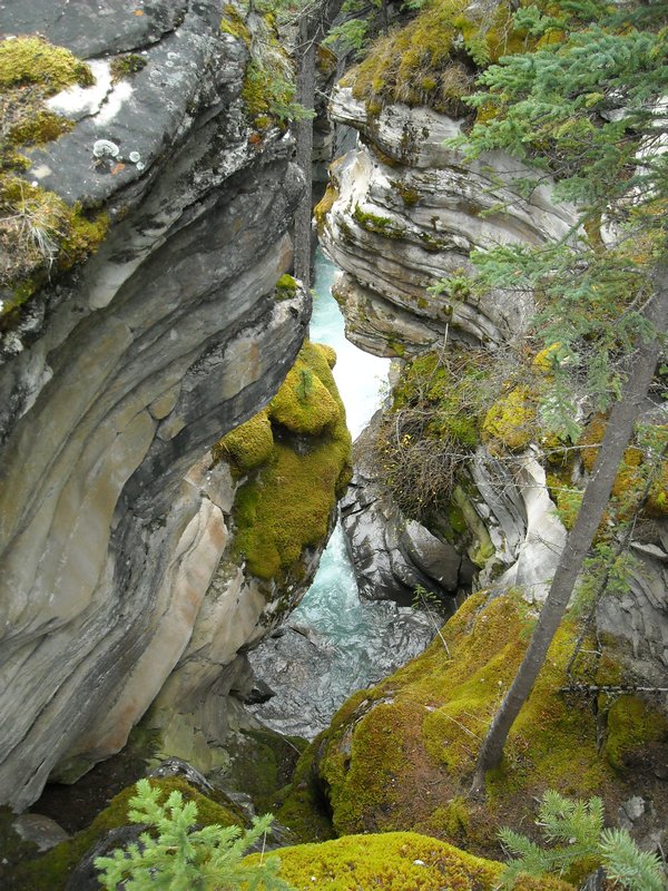 Athabasca Falls uitgesleten rotsen