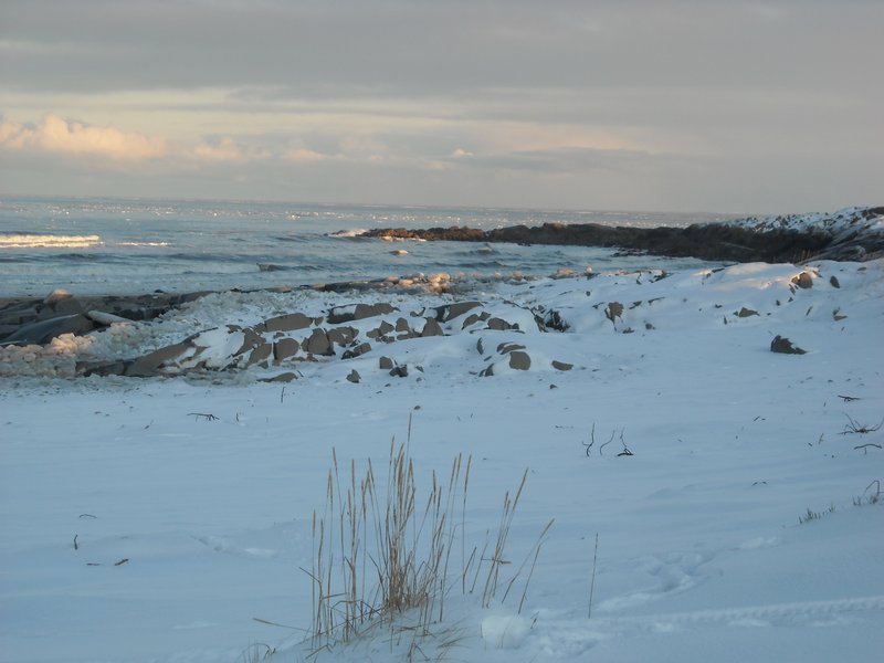 Uitzicht over bevroren strand