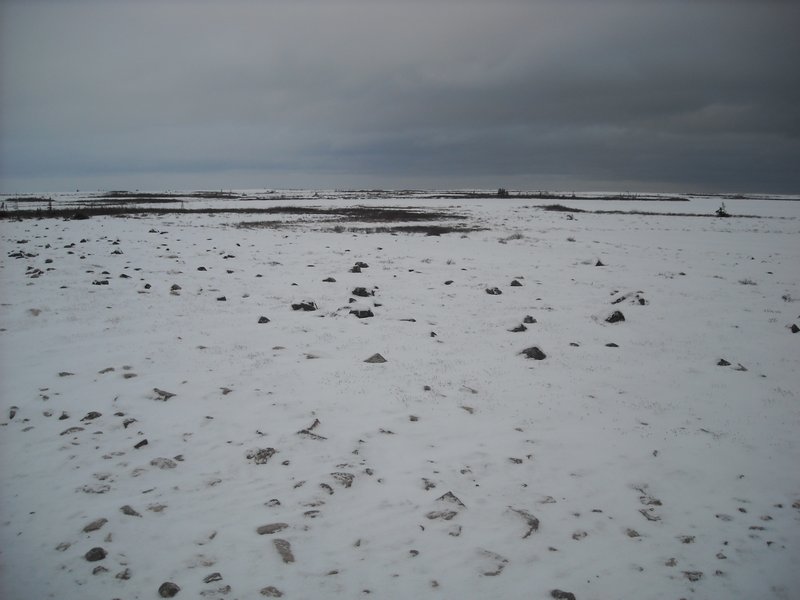 Tundra met sneeuw