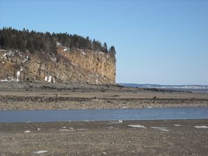 Het strand van Fundy Bay