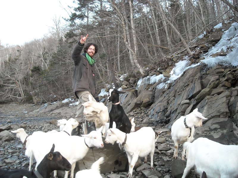 Ciarán speelt king of the hill met de geiten