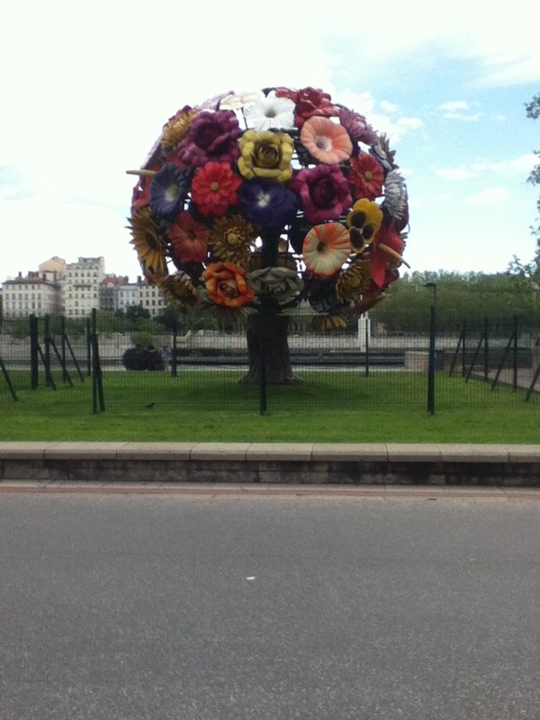 A big flower in Lyon.