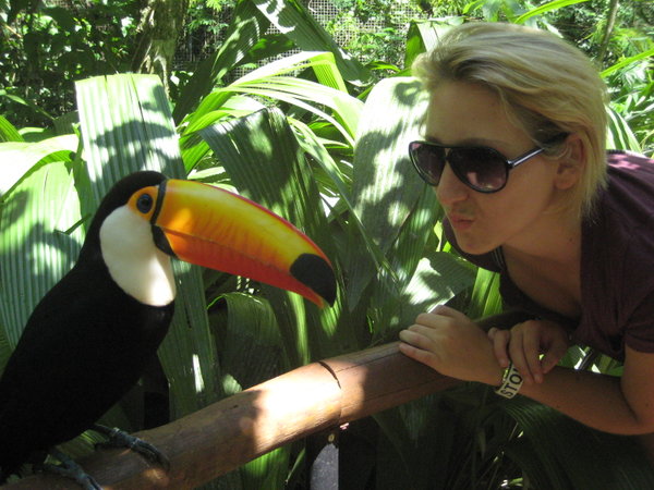 chatting with a toucan
