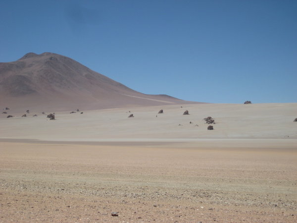 SD desert