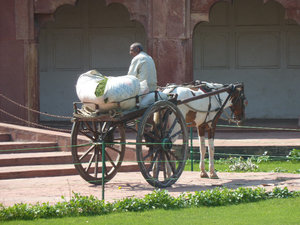 inside Agra Fort
