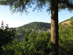 Safed: view from our window