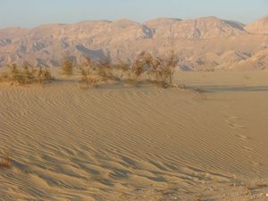 Untouched desert: Imagine farming here. ...