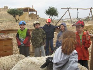 Adin and class with sheep on Judean Desert outing
