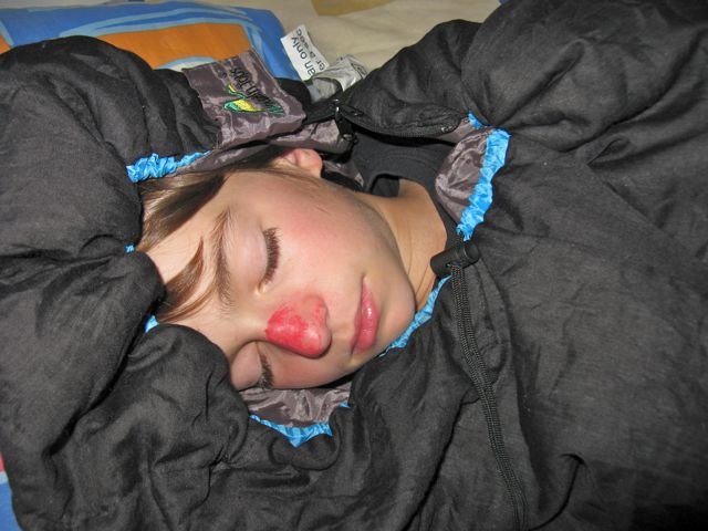Japanese Clown asleep on Kibbutz Sa'ar