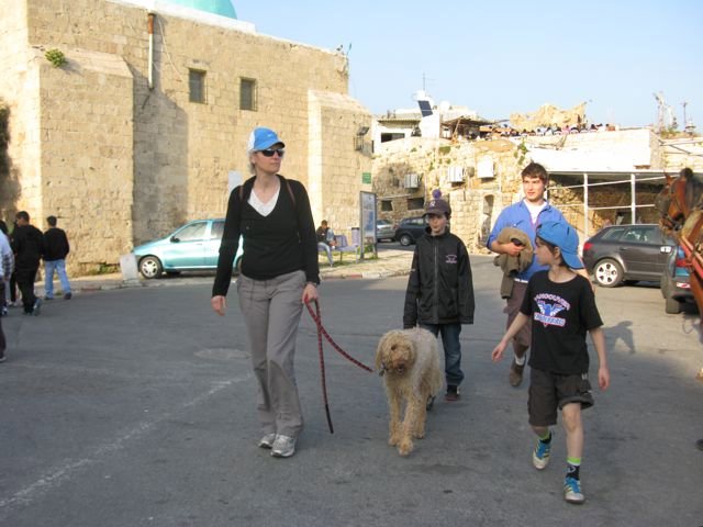 Cousin Raphy gives us walking tour through Old Acco