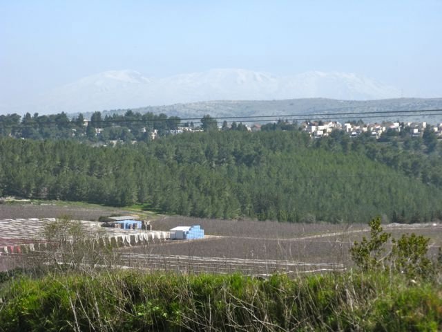 View from Baram across northern Israel to snow-coverd Mount Hermon