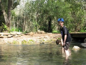 Adin wades into Tel Dan pool