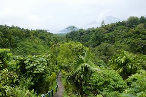 Insel Tidore: Kalaodi