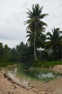 Insel Morotai: Bido