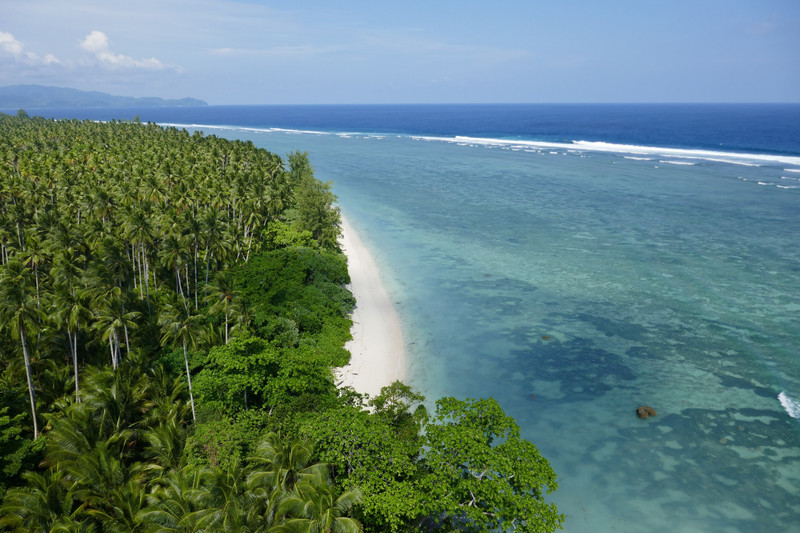 Insel Morotai: Cendana