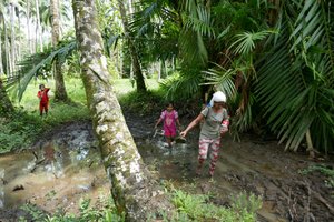 Insel Morotai: Bere-Bere Kecil