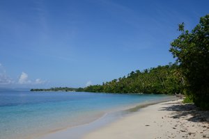 Insel Rau: Posiposi