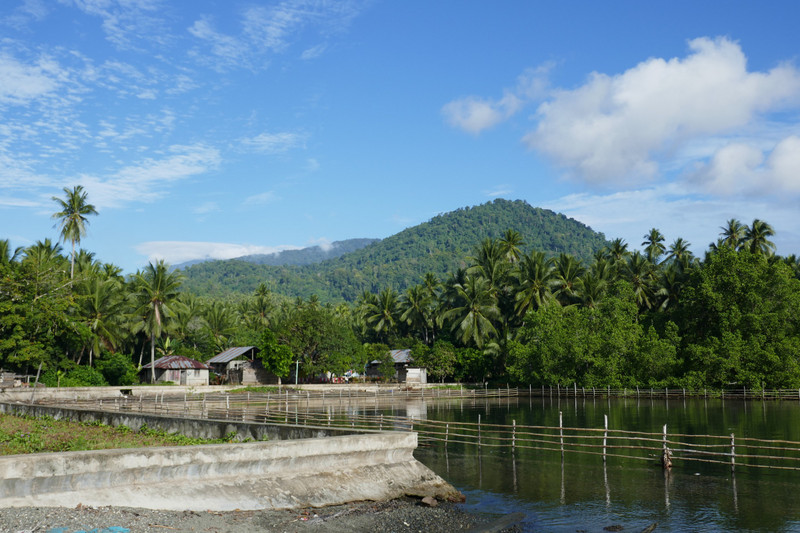 Insel Bacan: Songa