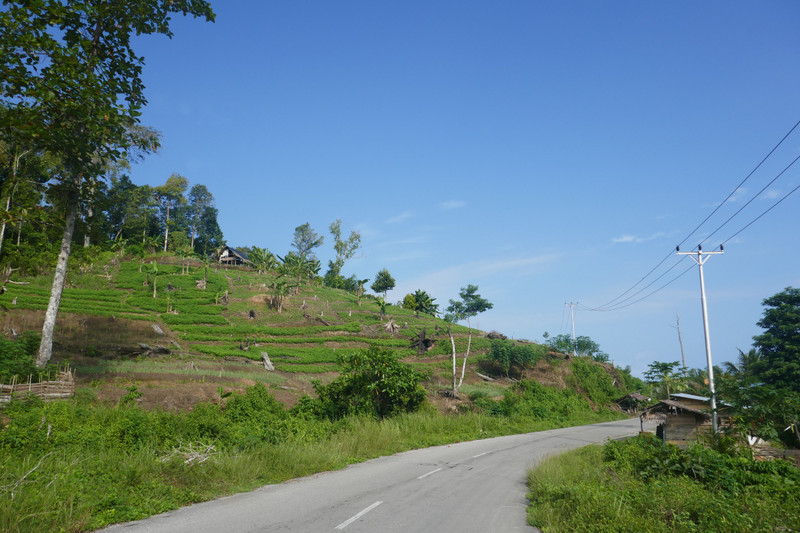 Insel Seram: Naehe Sawai