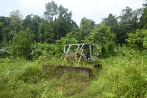 Insel Seram: Naehe Huaulu