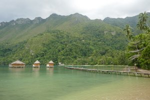 Insel Seram: Saleman