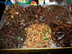 Bangkok - Insekten zum essen