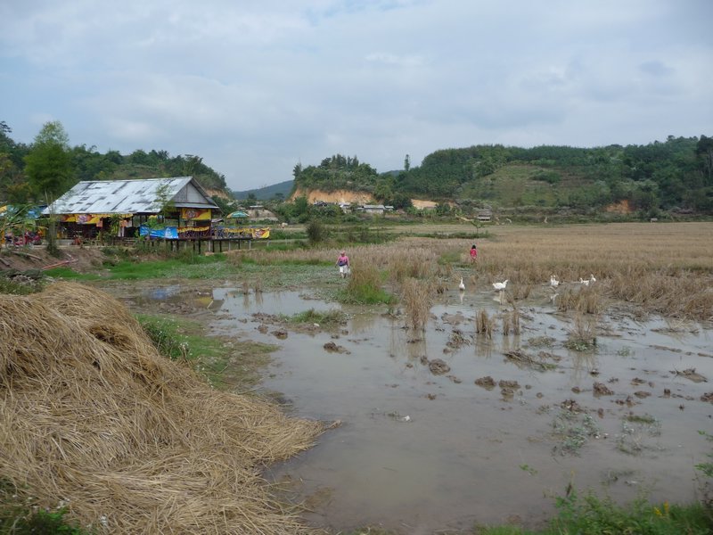 Naehe Luang Nam Tha