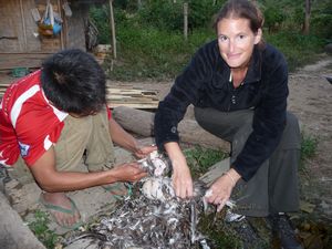 Trekkingtour - im Black Thai Dorf - beim Huhn rupfen