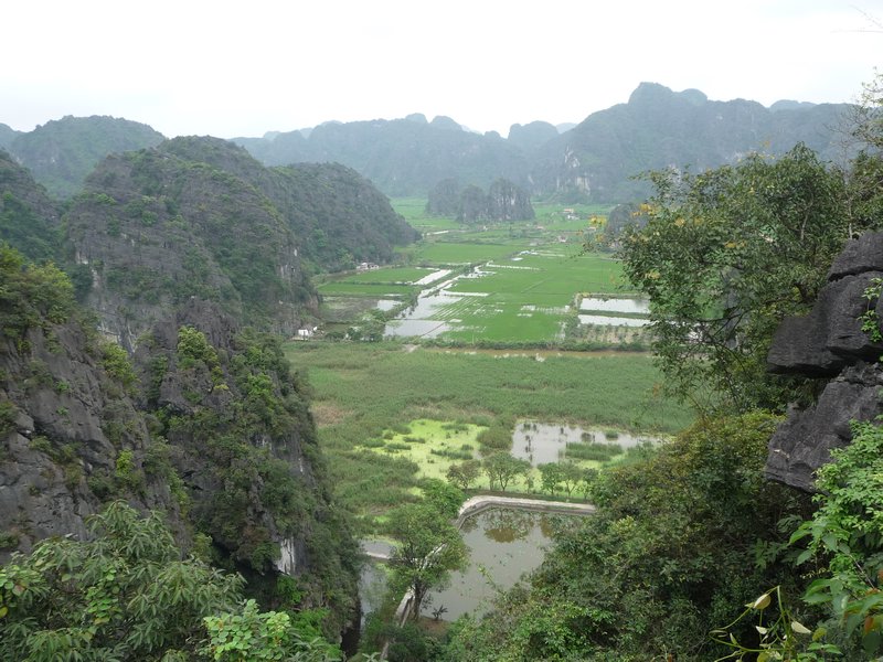 Naehe Tam Coc - Aussicht auf die Reisfelder