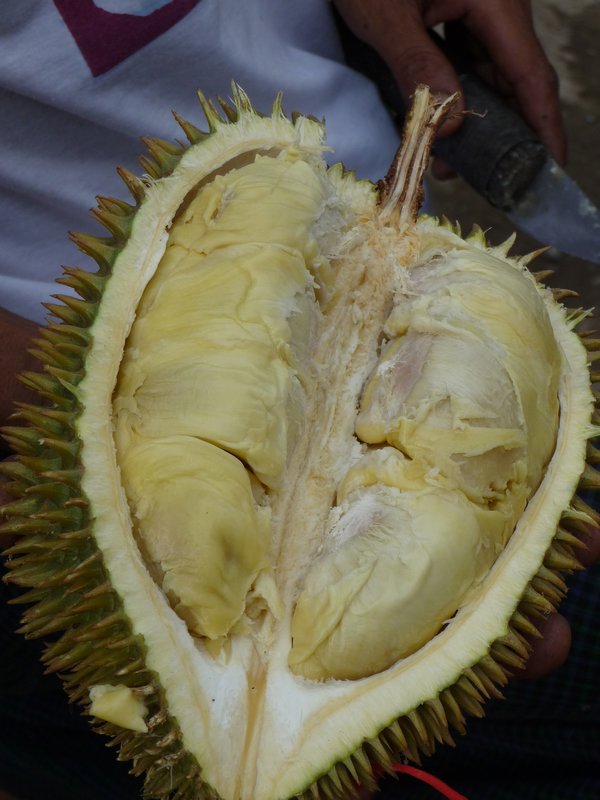 Yangon - Stinkfrucht Durian