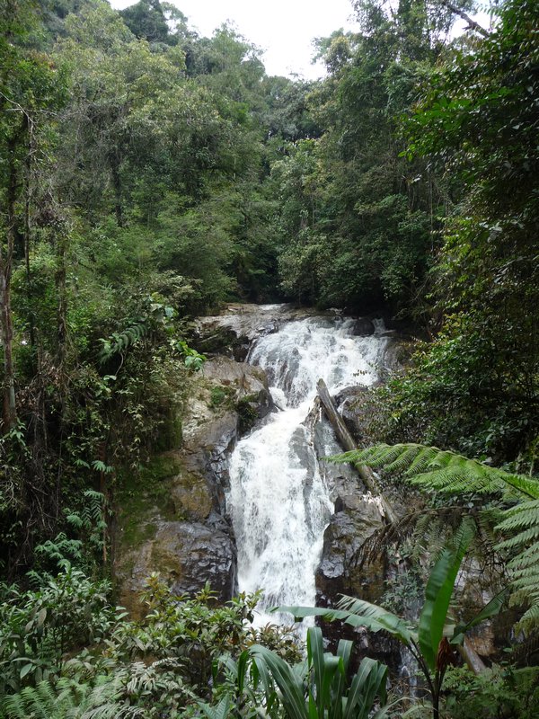 Cameron Highlands - Robinson Wasserfall