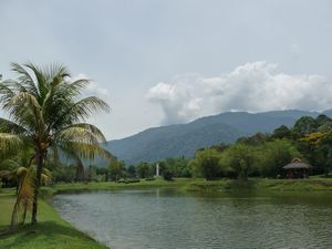 Taiping - Lake Gardens