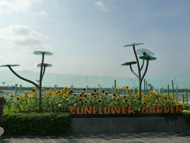 Singapur - im Flughafen - Sonnenblumen