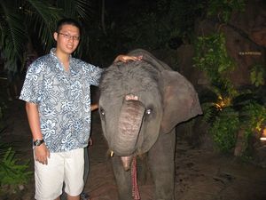 Sen and the baby elephant